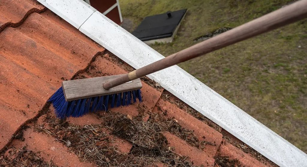 Roof Moss Removal